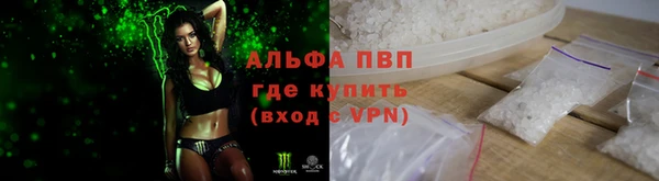 ПСИЛОЦИБИНОВЫЕ ГРИБЫ Михайловка