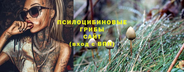 мяу мяу мука Надым