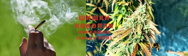 ПСИЛОЦИБИНОВЫЕ ГРИБЫ Михайловка